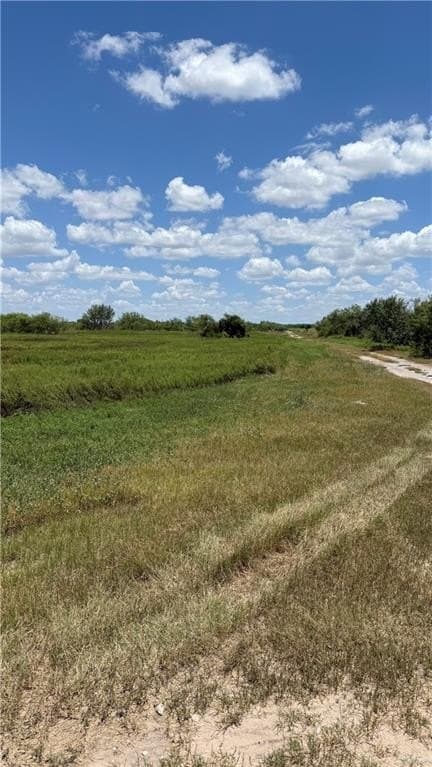 11.25 acres in Hidalgo County gallery image 4