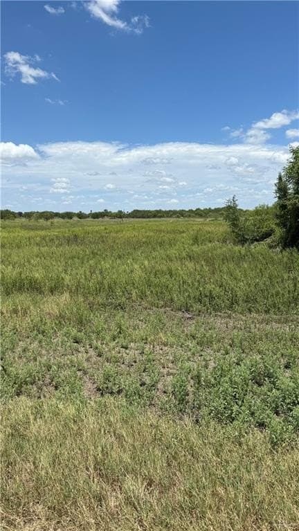 11.25 acres in Hidalgo County gallery image 2