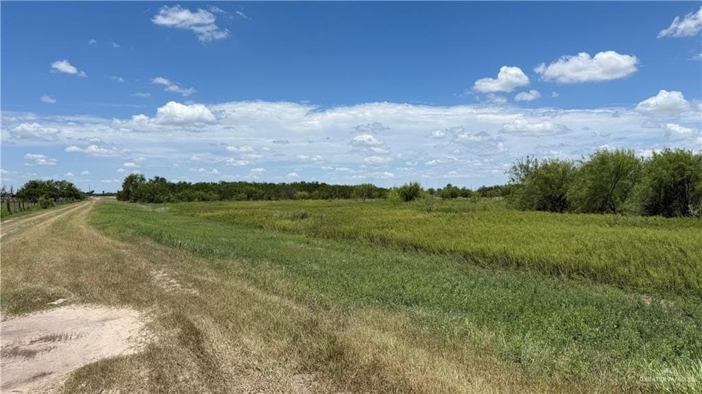 11.25 acres in Hidalgo County gallery image 3