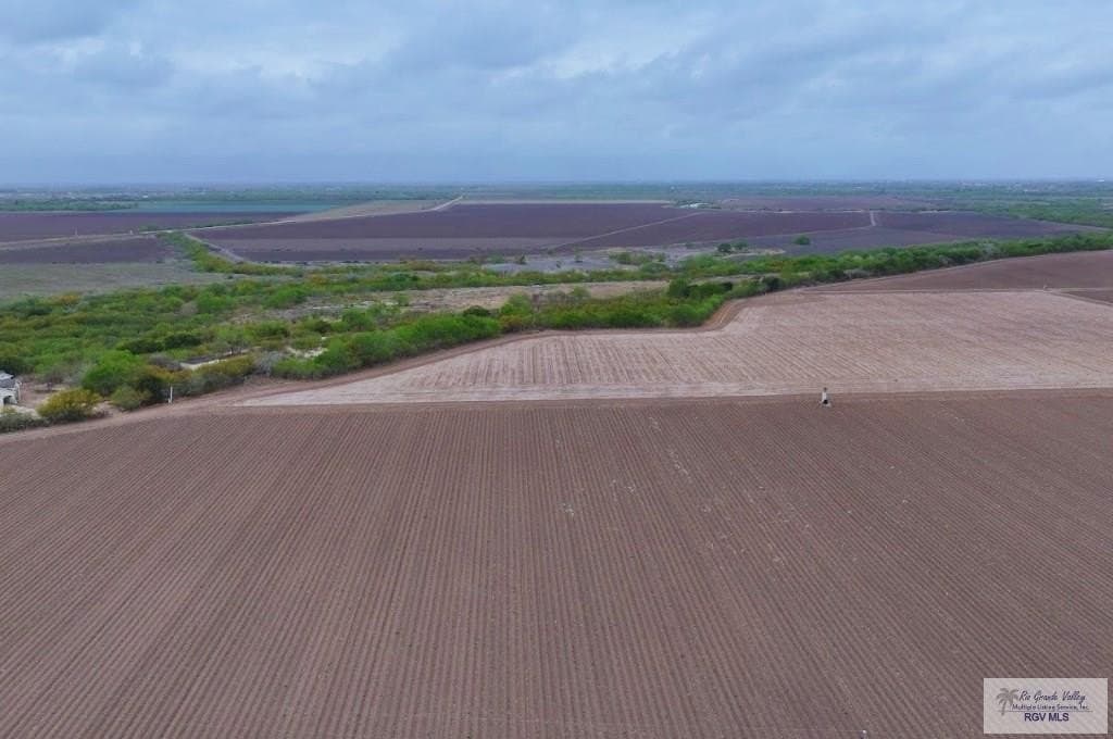 10.02 acres in CAMERON County gallery image 4
