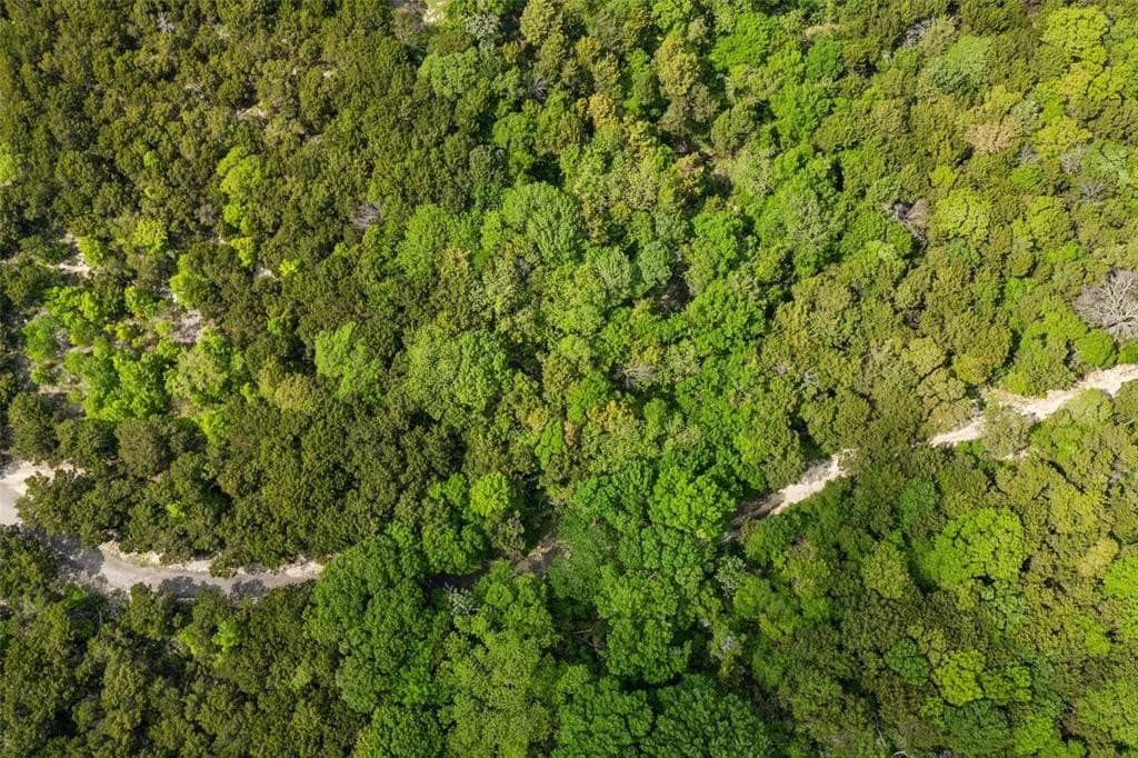 52.64 acres in Dallas County gallery image 3