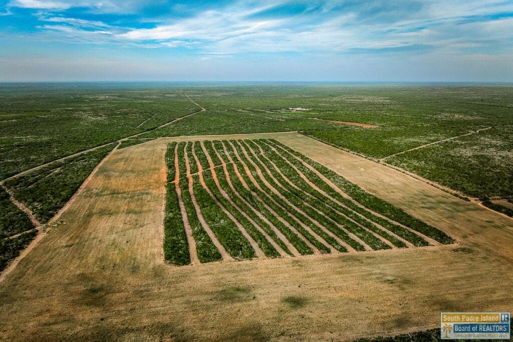 0.01 acres in Texas County - photo 15
