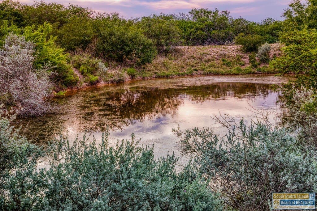 0.01 acres in Texas County - photo 21