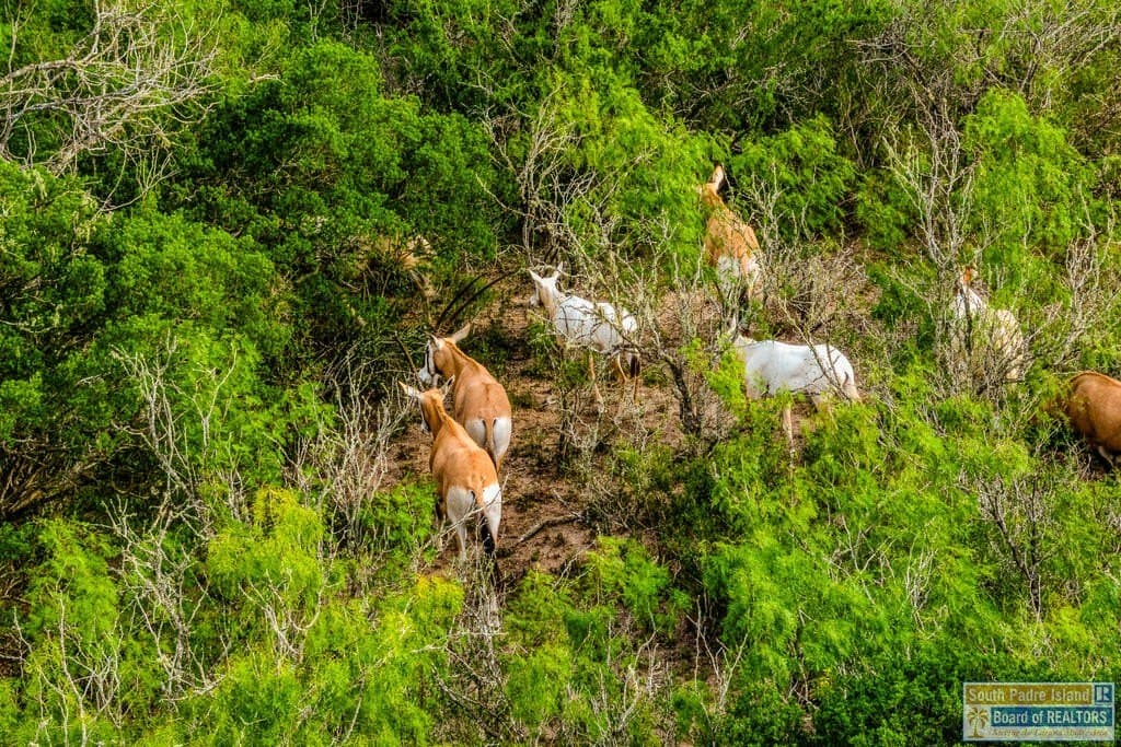 0.01 acres in Texas County - photo 17