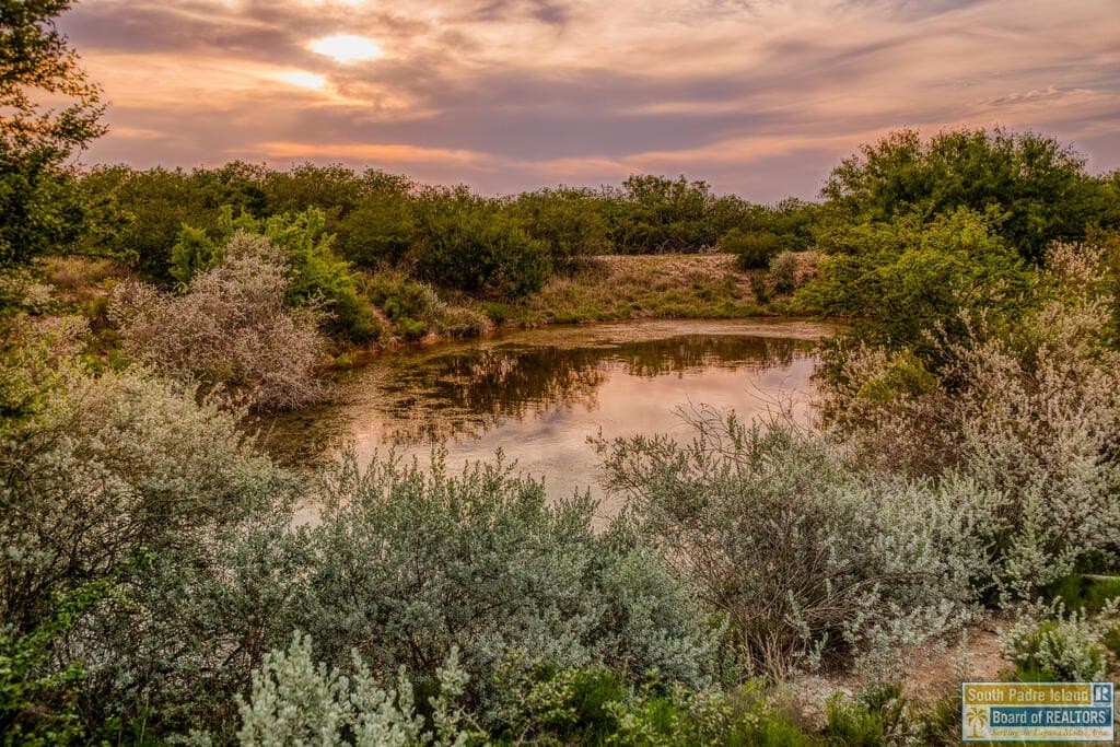 0.01 acres in Texas County - photo 29
