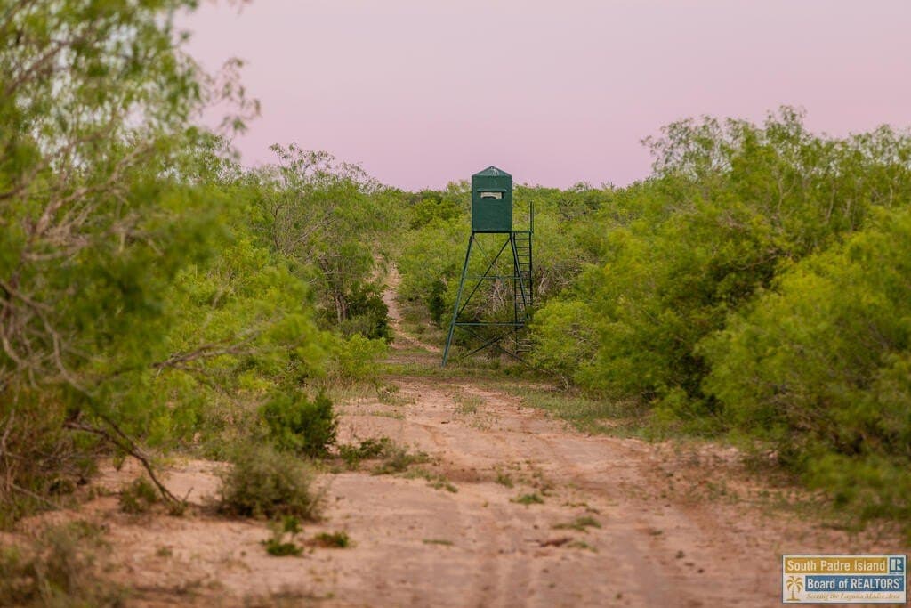 0.01 acres in Texas County - photo 22