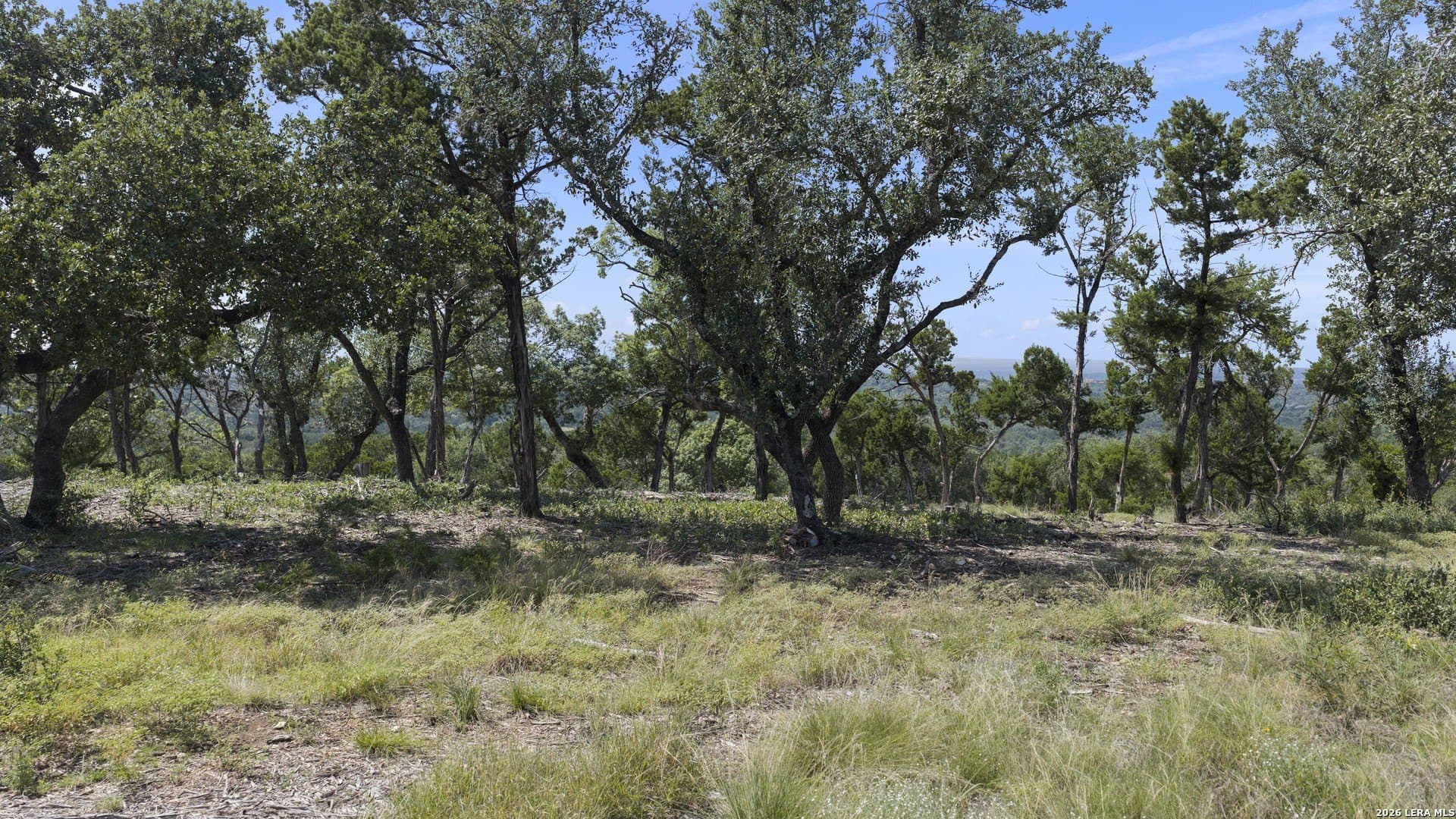 7.01 acres in Comal County featured view