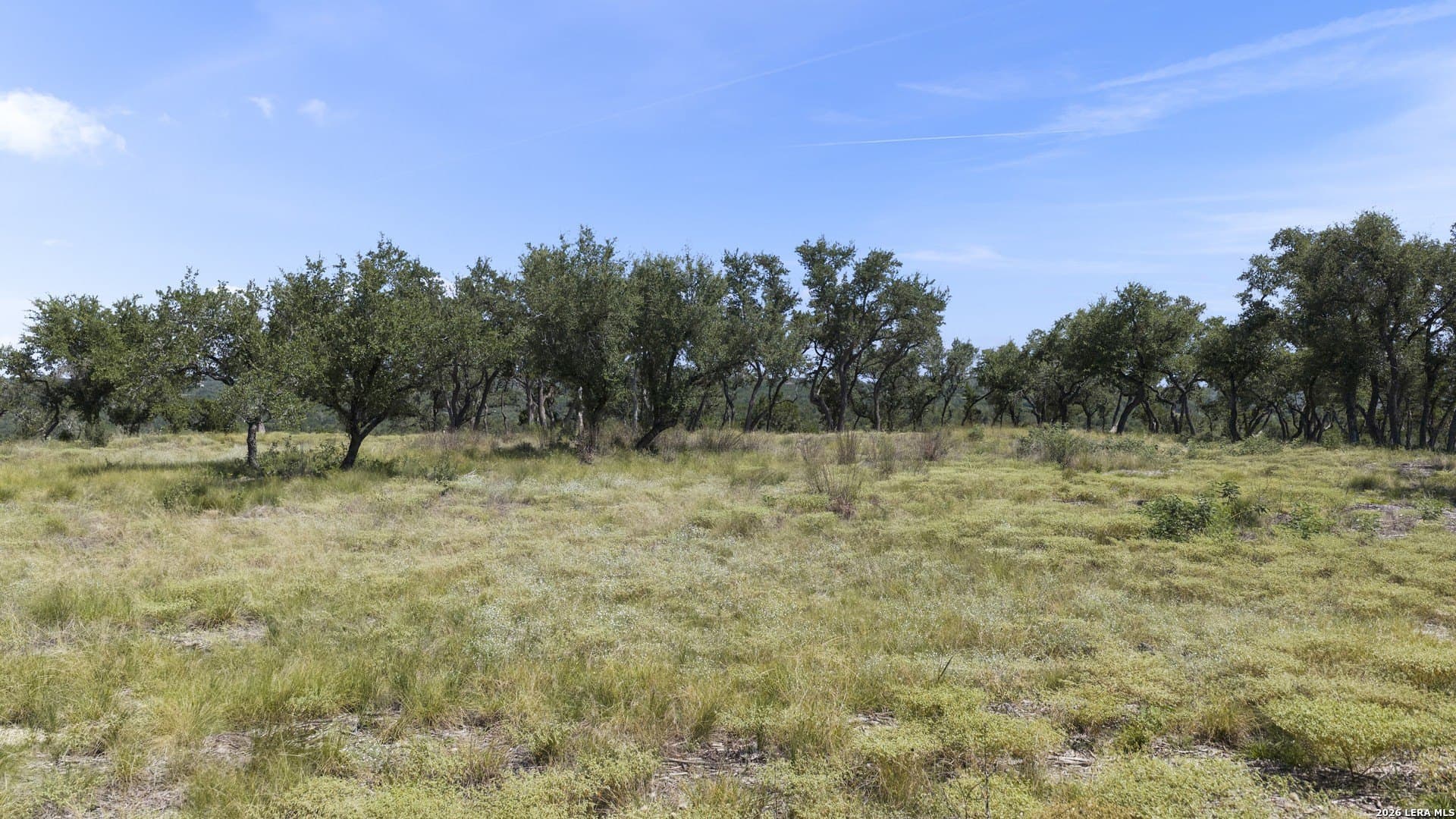 7.01 acres in Comal County gallery image 3