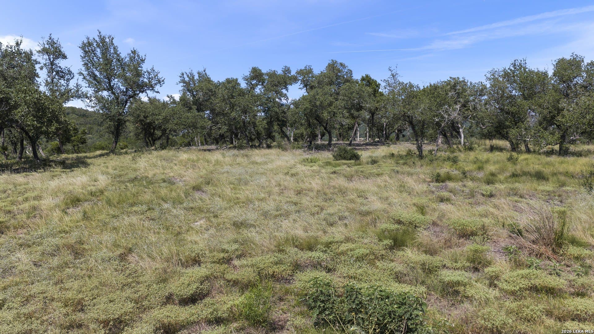 7.01 acres in Comal County gallery image 2