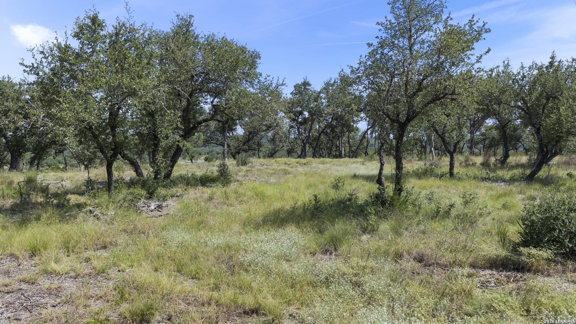 7.01 acres in Comal County - photo 7