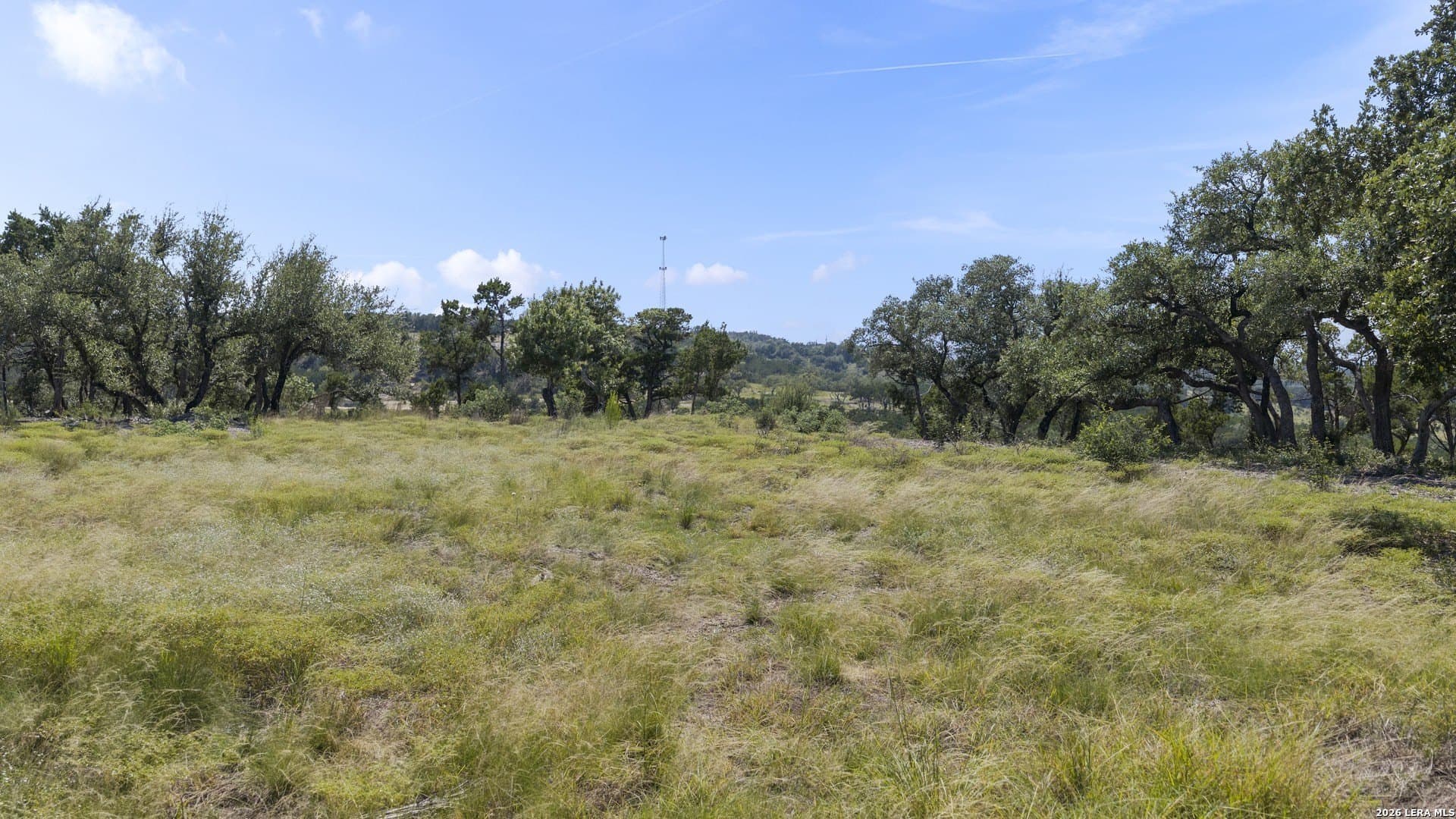 7.01 acres in Comal County gallery image 4