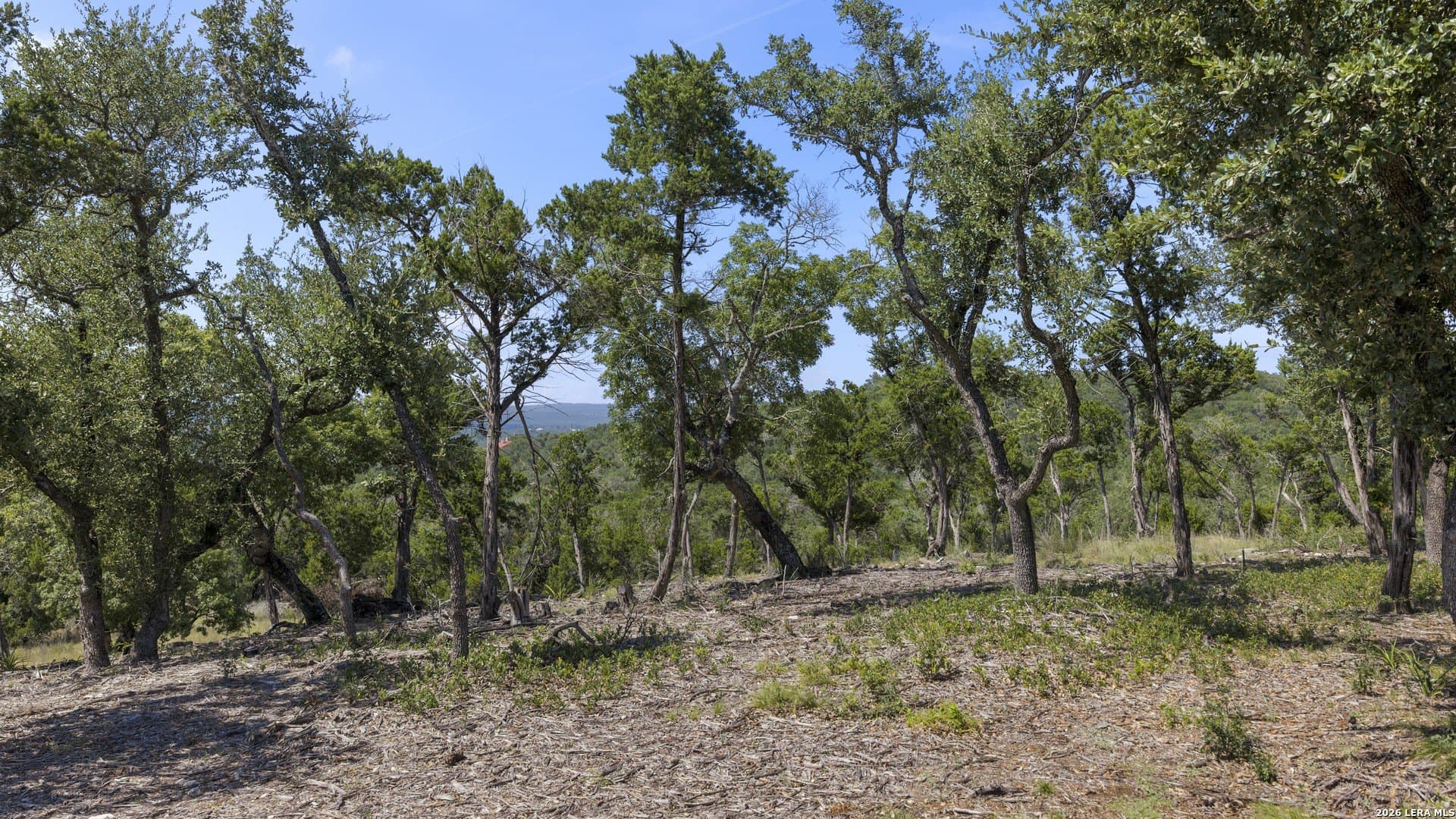 7.01 acres in Comal County - photo 8
