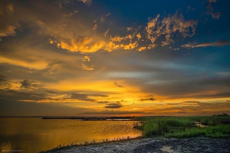 0.22 acres in Refugio County gallery image 4