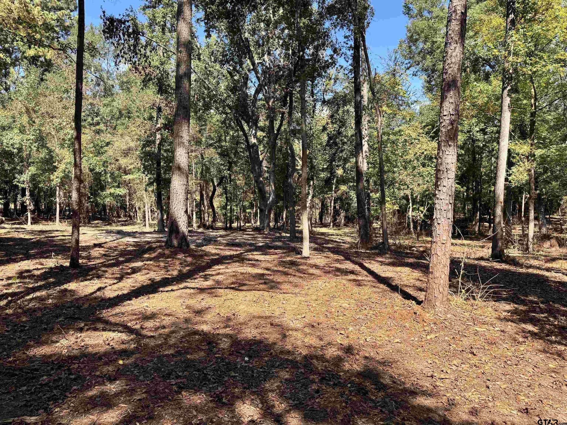 8.25 acres in Van Zandt County - photo 5