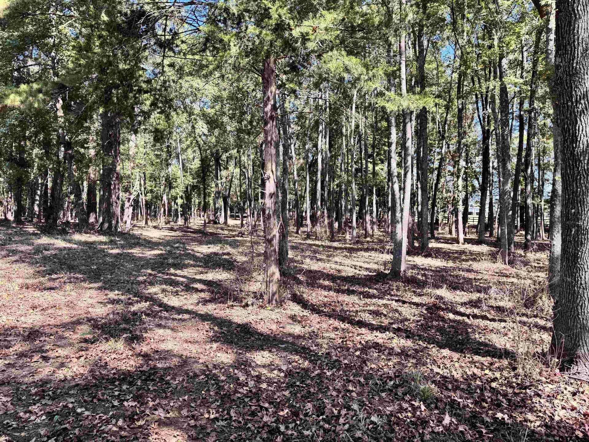 8.25 acres in Van Zandt County - photo 3