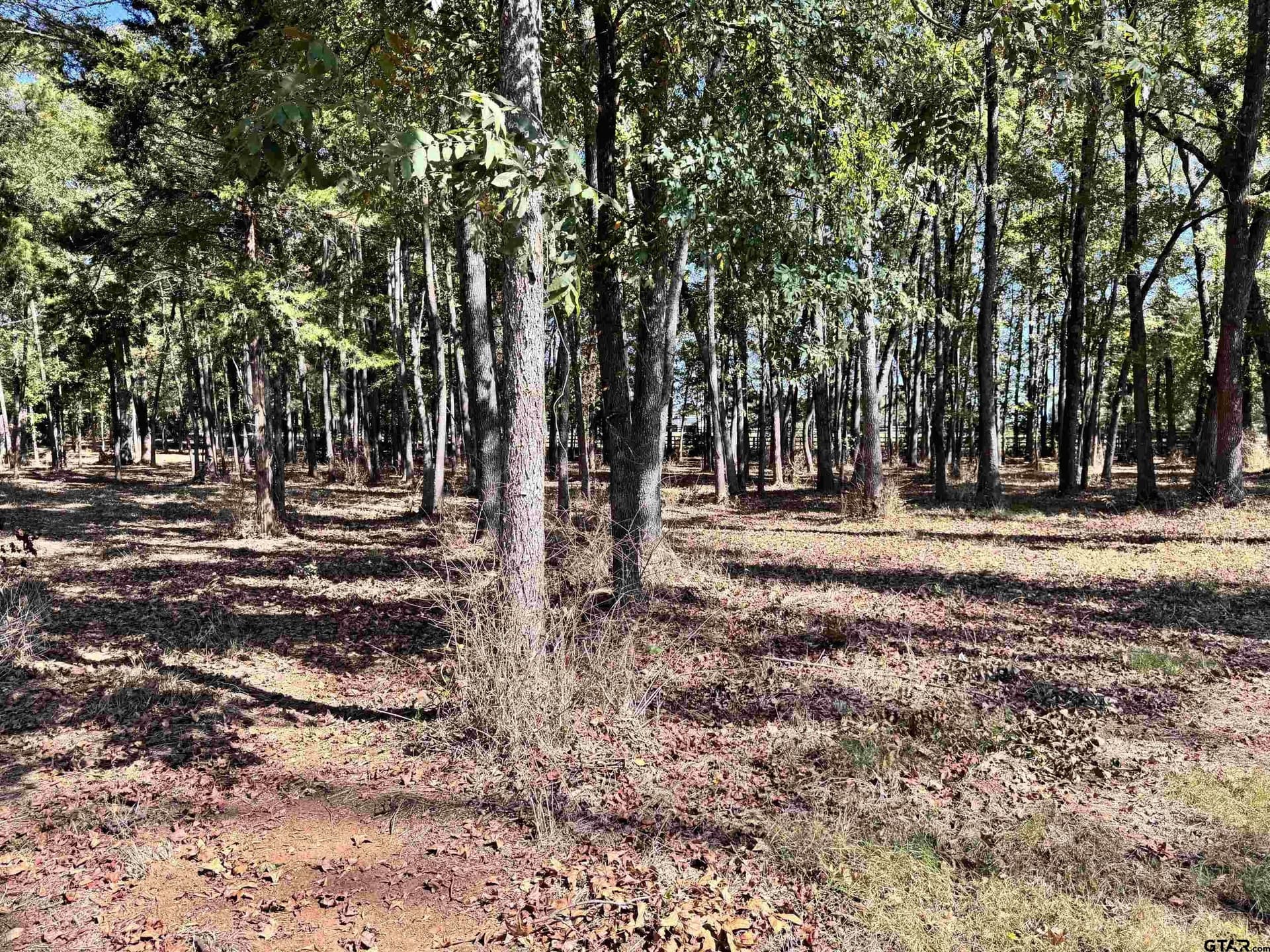8.25 acres in Van Zandt County - photo 4