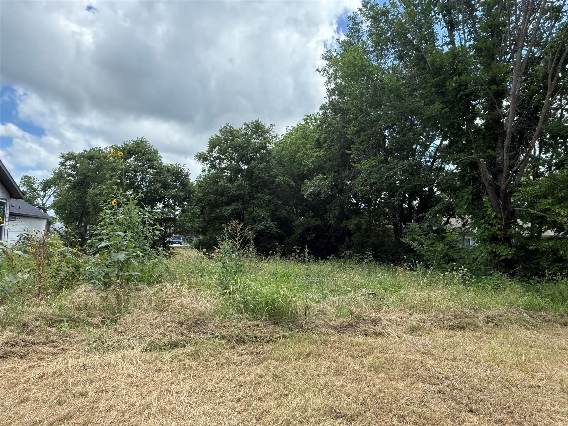 0.19 acres in Hunt County - photo 4