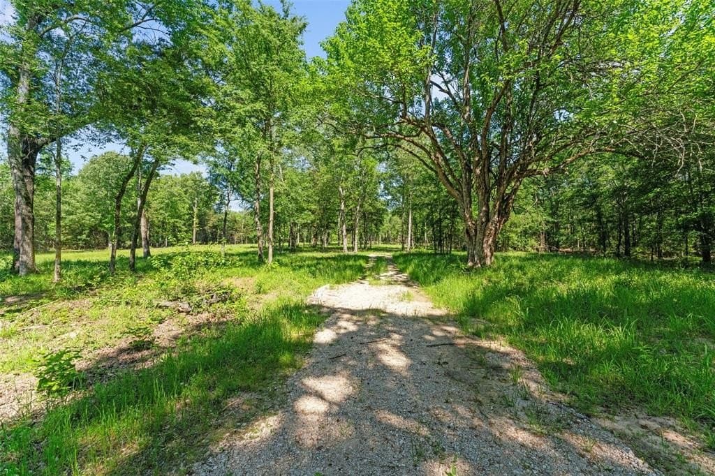 188.97 acres in Hopkins County featured view