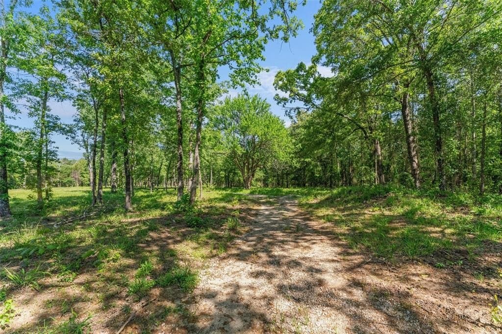 188.97 acres in Hopkins County gallery image 4