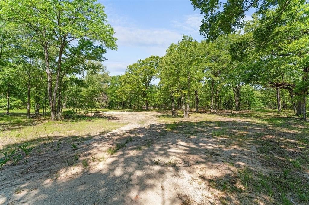 188.97 acres in Hopkins County gallery image 3