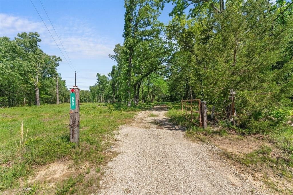 188.97 acres in Hopkins County gallery image 2