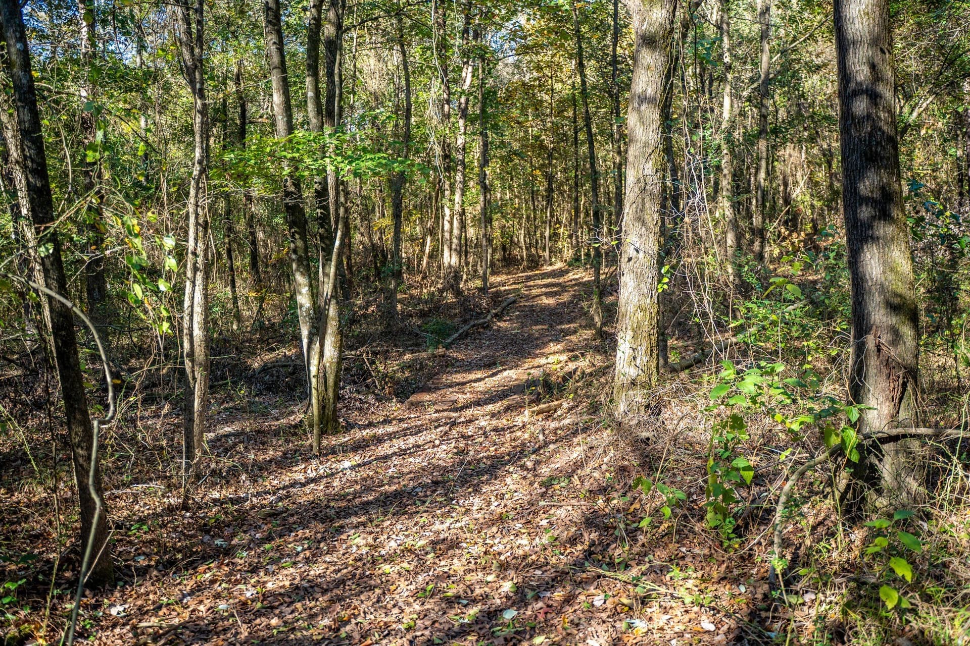 8 acres in Morris County - photo 14