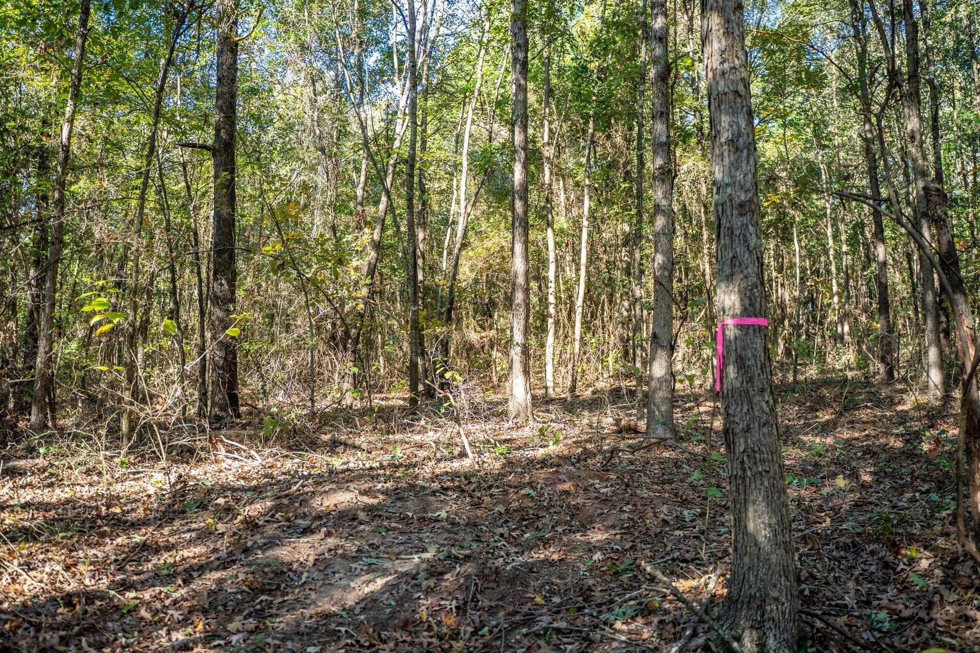 8 acres in Morris County - photo 15