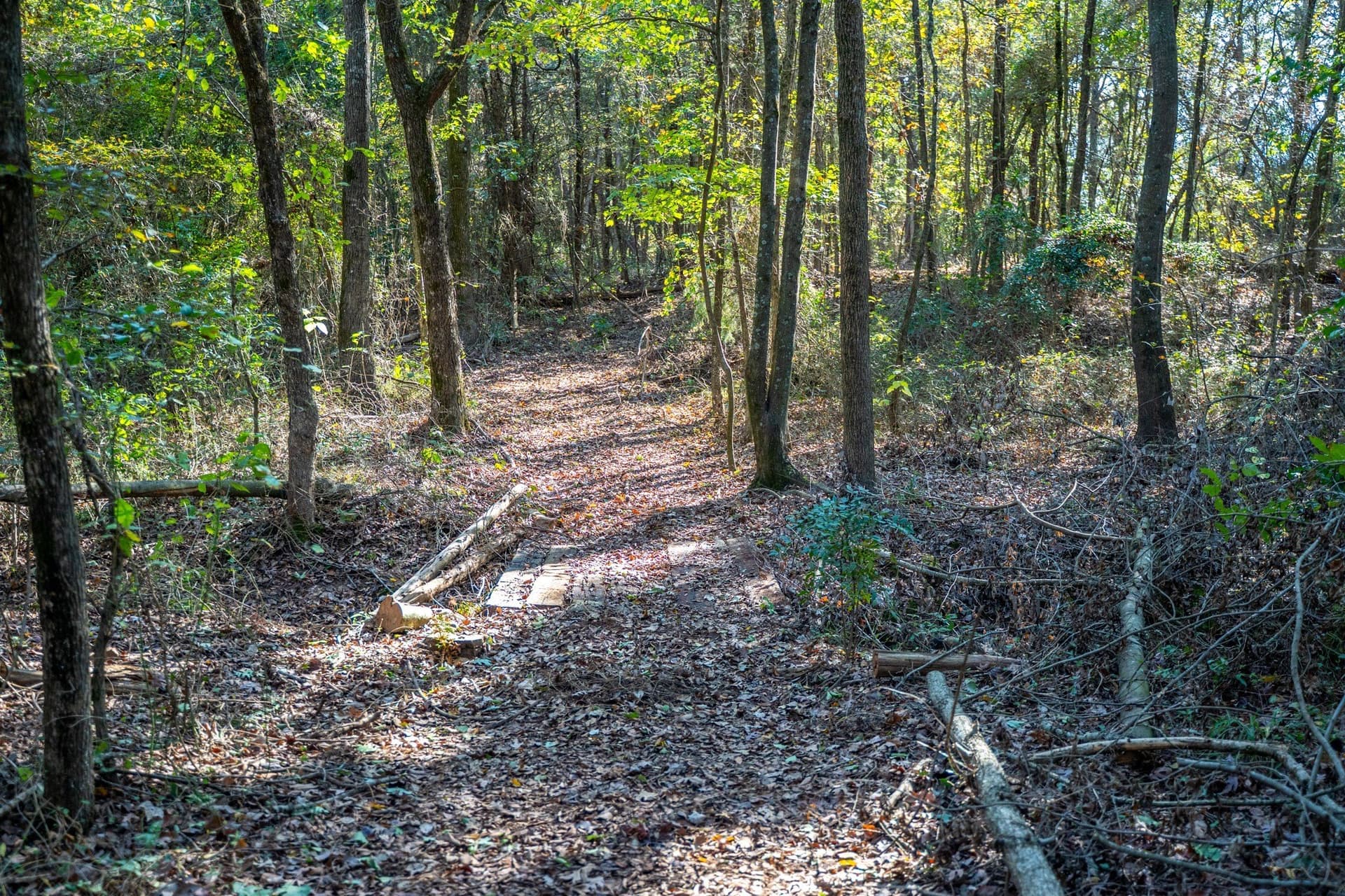 8 acres in Morris County - photo 18