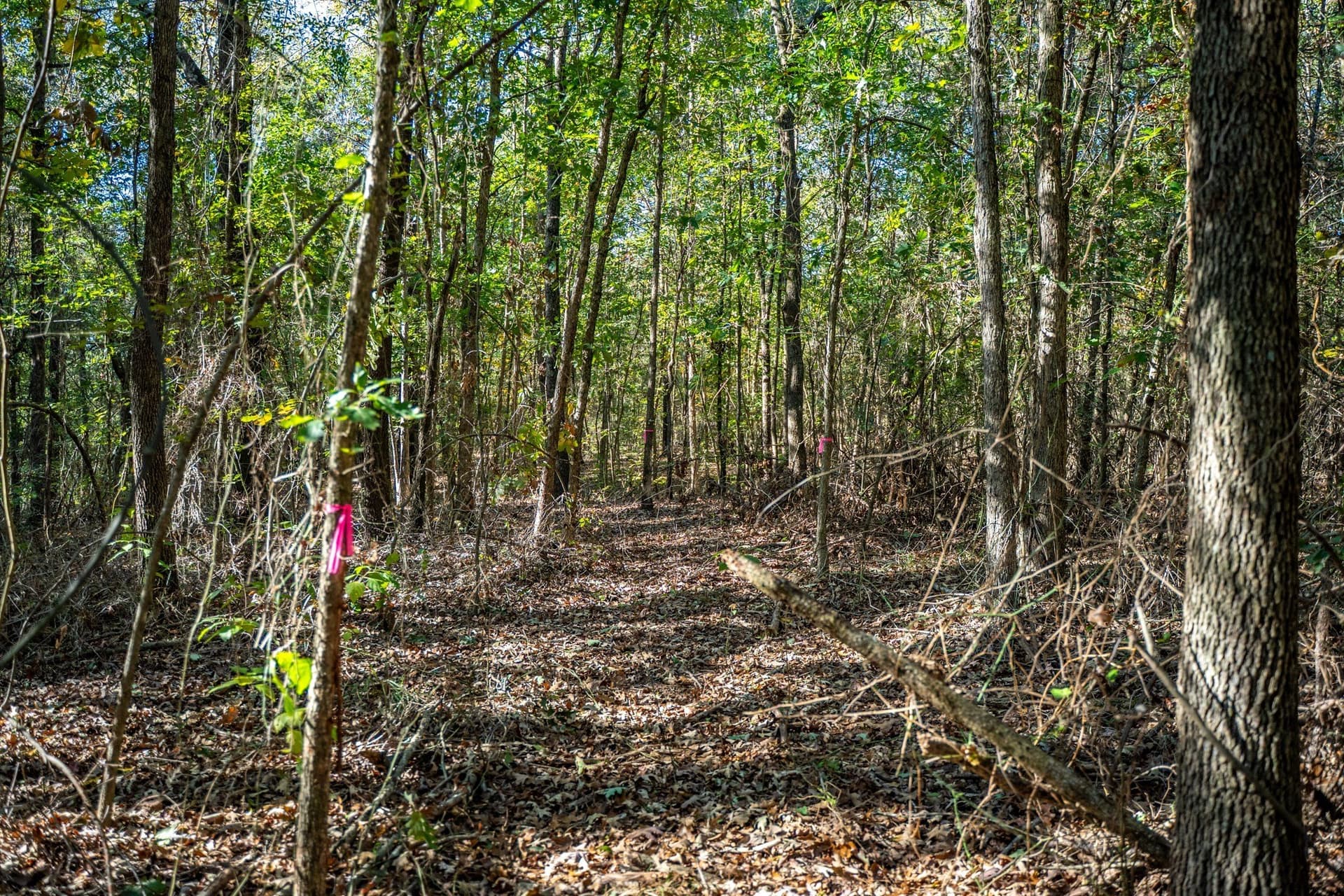 8 acres in Morris County - photo 16