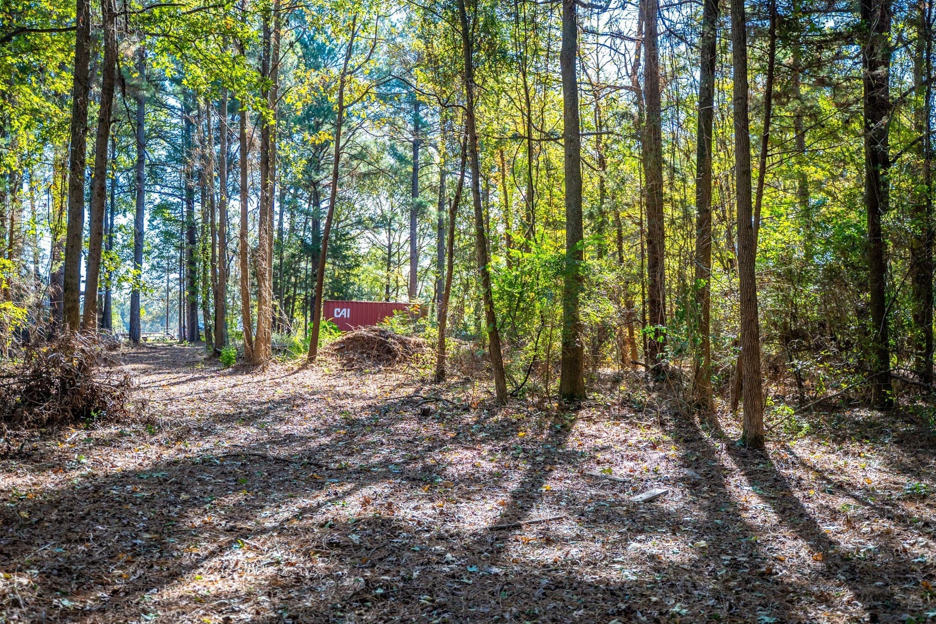 8 acres in Morris County - photo 25