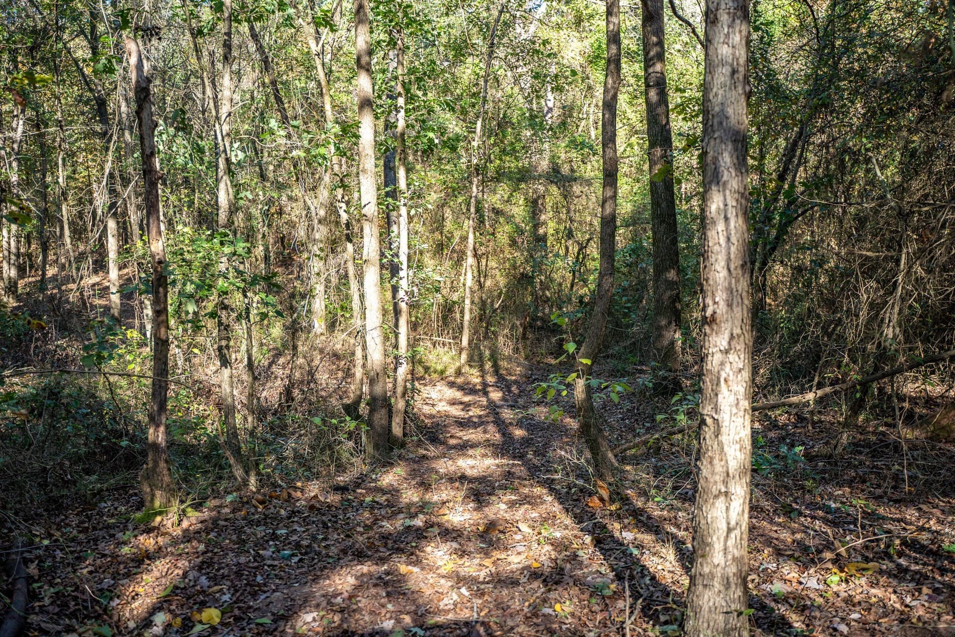 8 acres in Morris County - photo 11