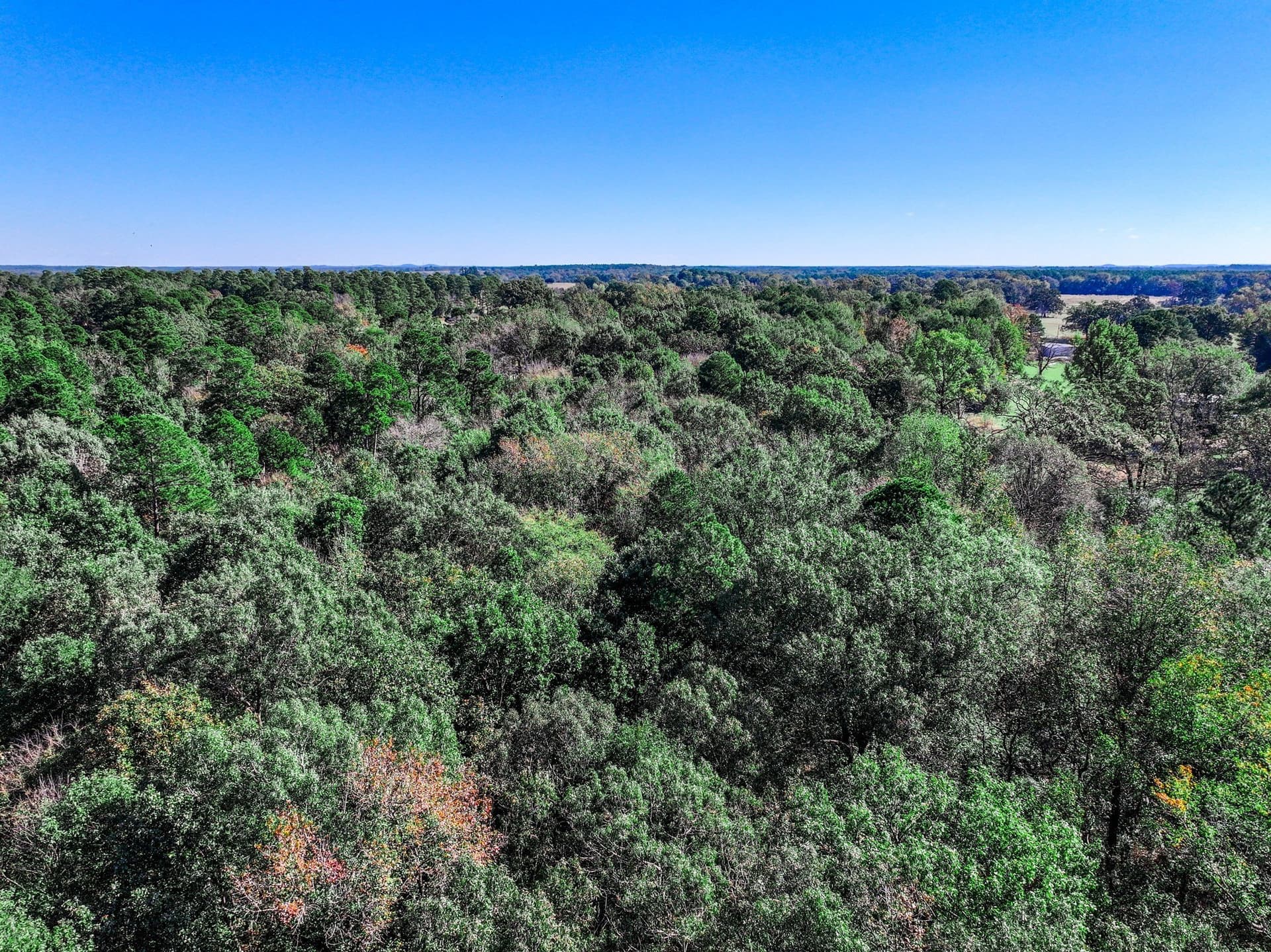 8 acres in Morris County - photo 38