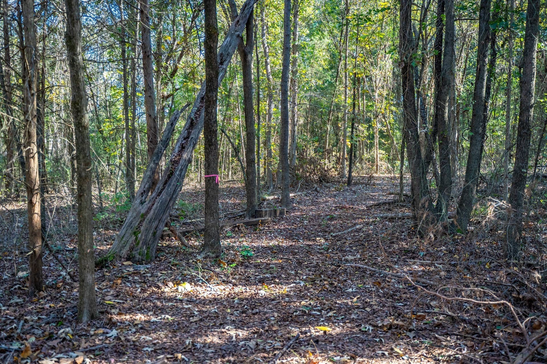 8 acres in Morris County - photo 19