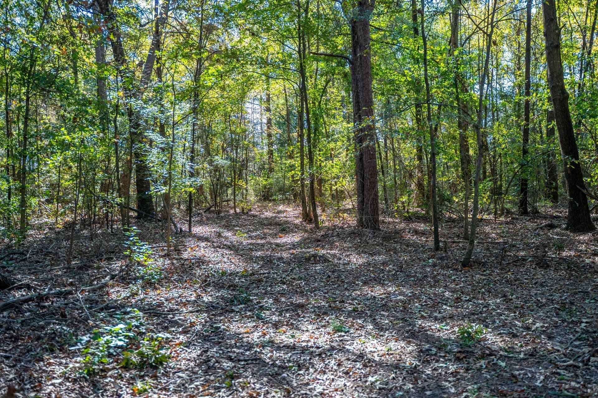 8 acres in Morris County - photo 20