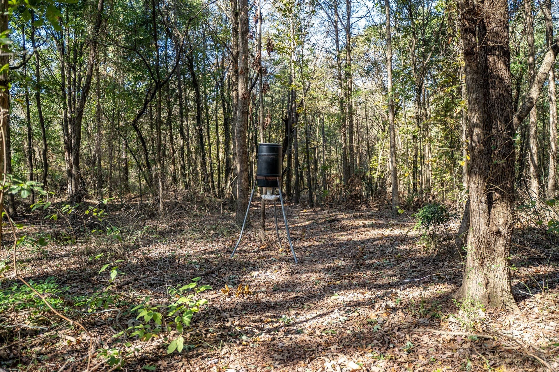 8 acres in Morris County - photo 12