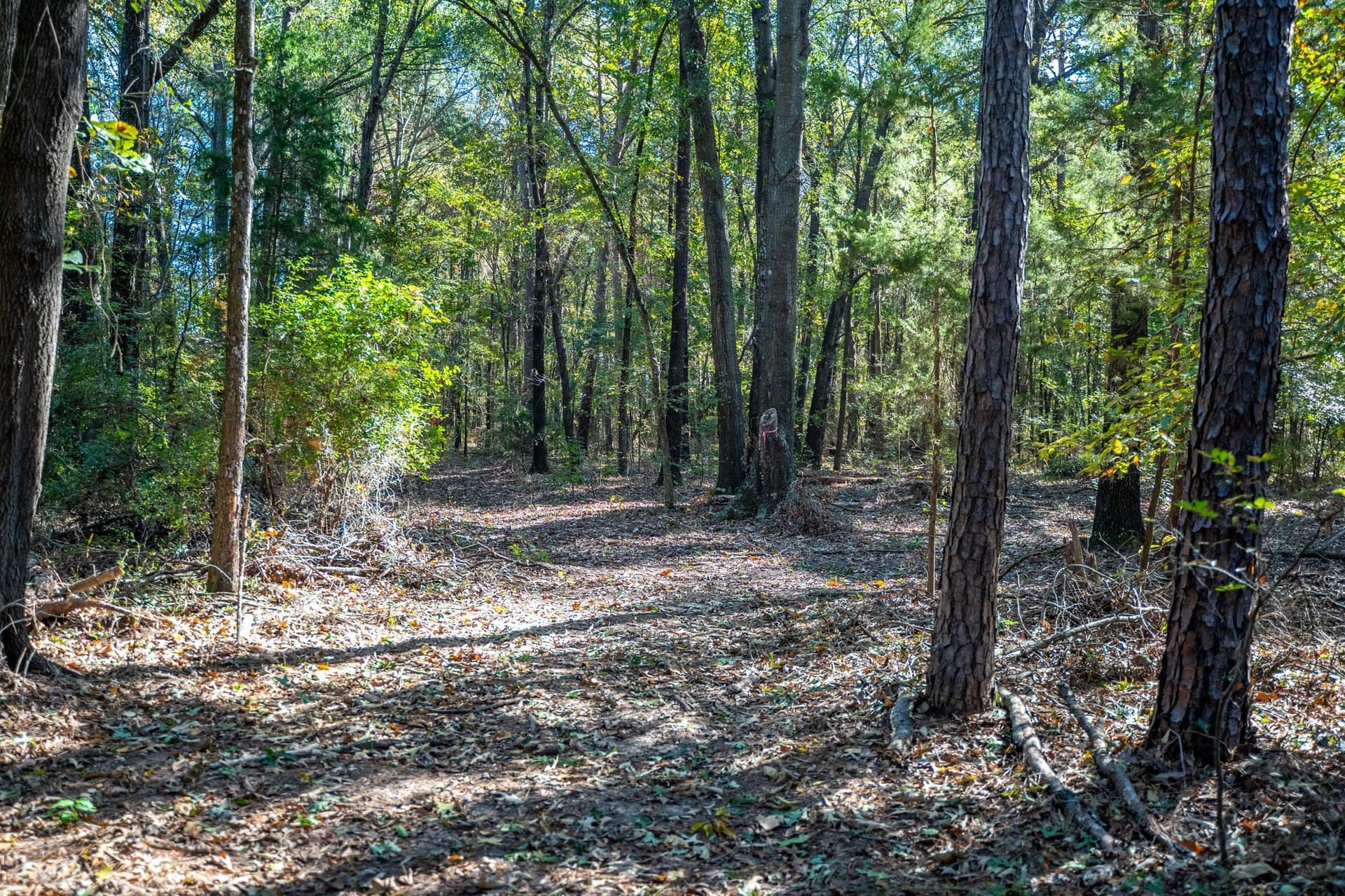 8 acres in Morris County - photo 23