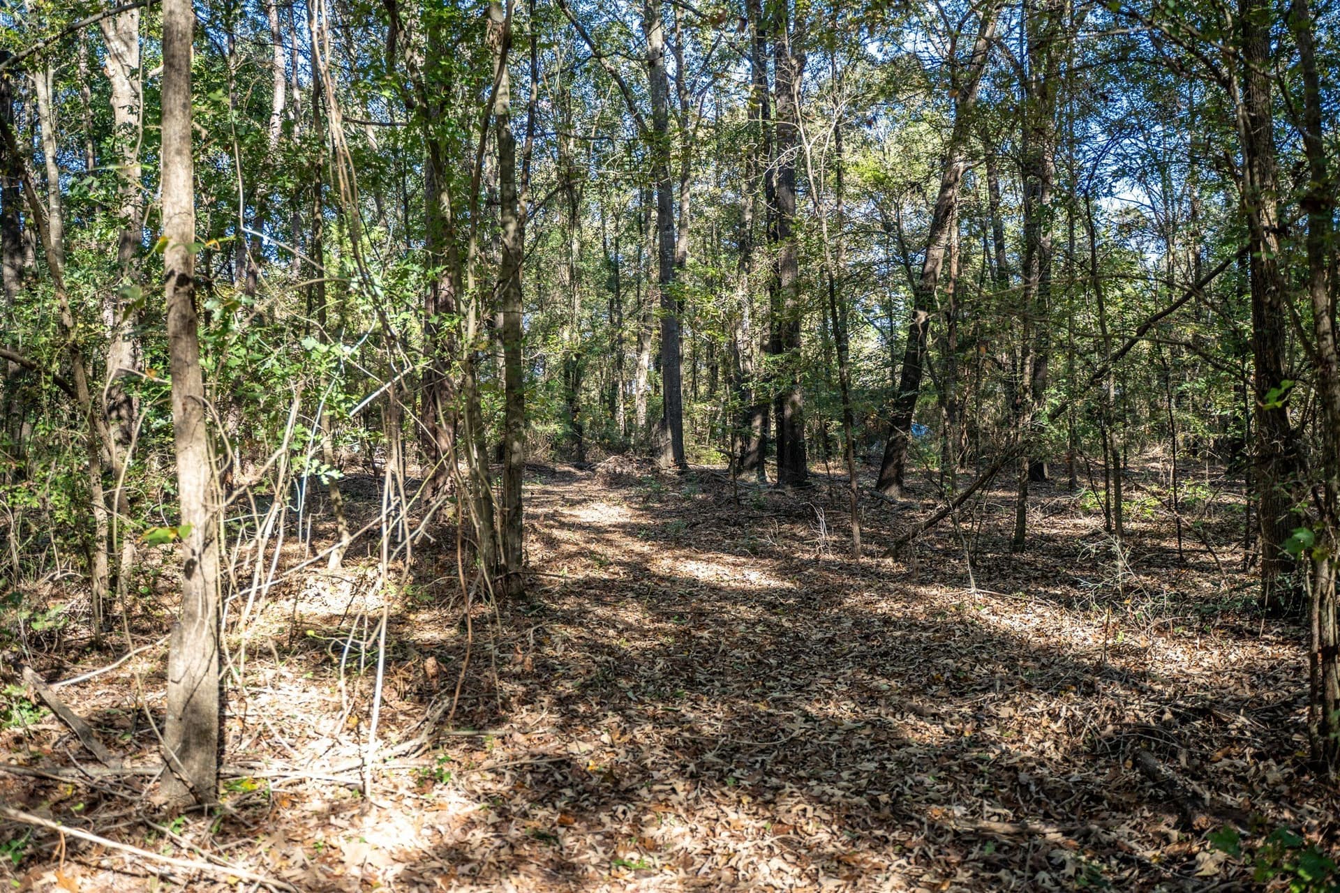 8 acres in Morris County - photo 9