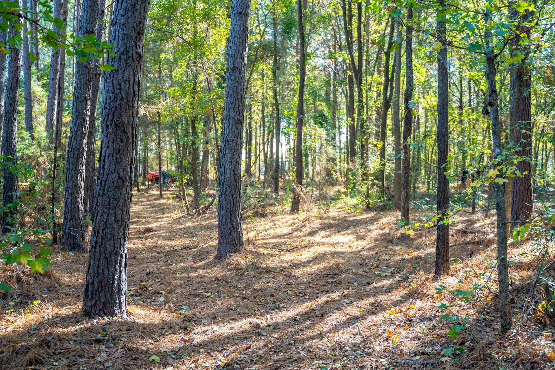 8 acres in Morris County - photo 24