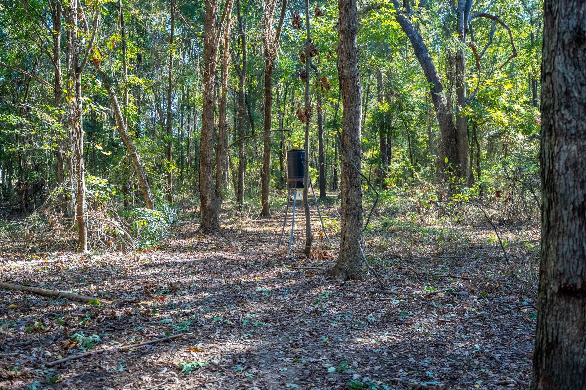 8 acres in Morris County - photo 21