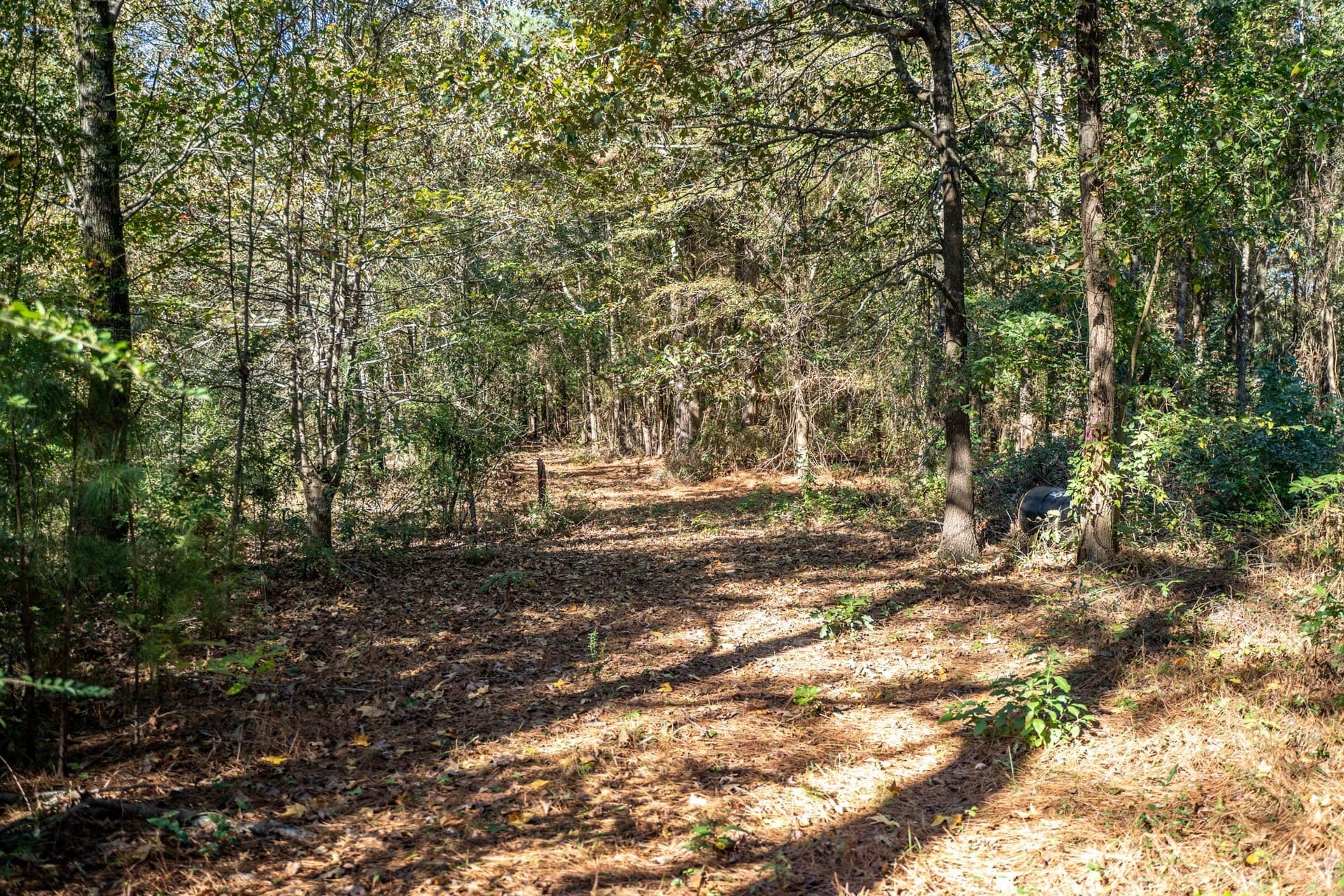 8 acres in Morris County - photo 8