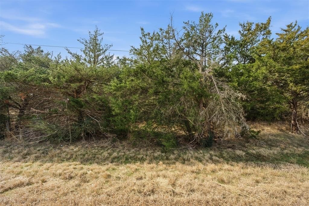 2.98 acres in Limestone County featured view
