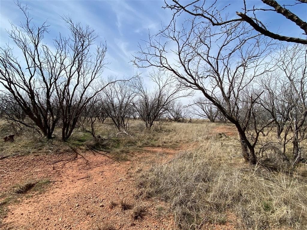 21.38 acres in Haskell County gallery image 4