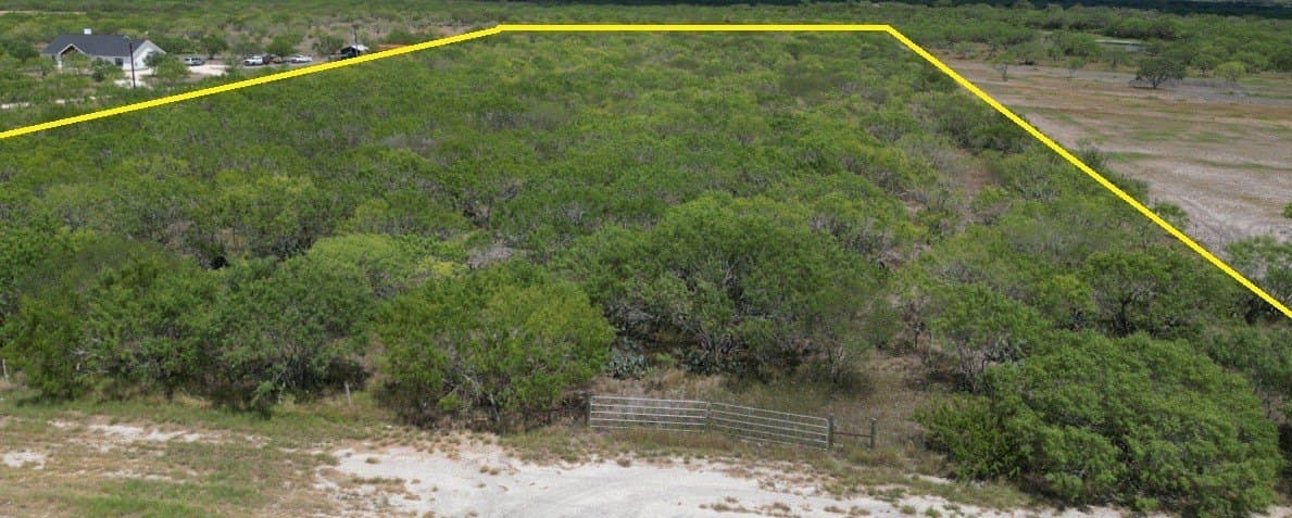 11 acres in Live Oak County gallery image 2