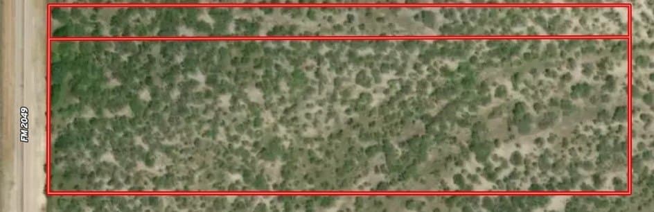 11 acres in Live Oak County gallery image 4