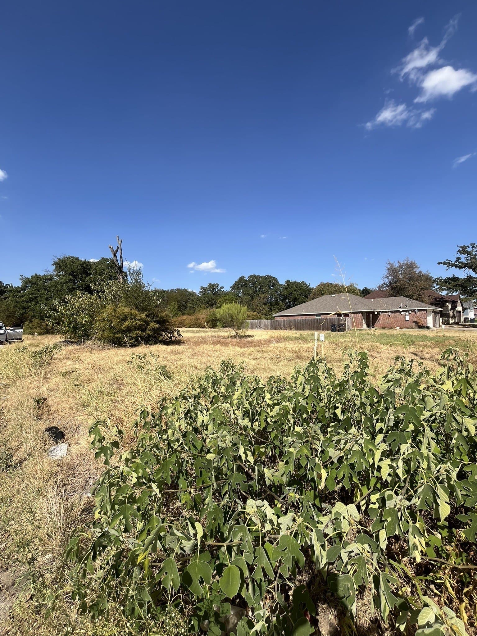 0.17 acres in Tarrant County - photo 7