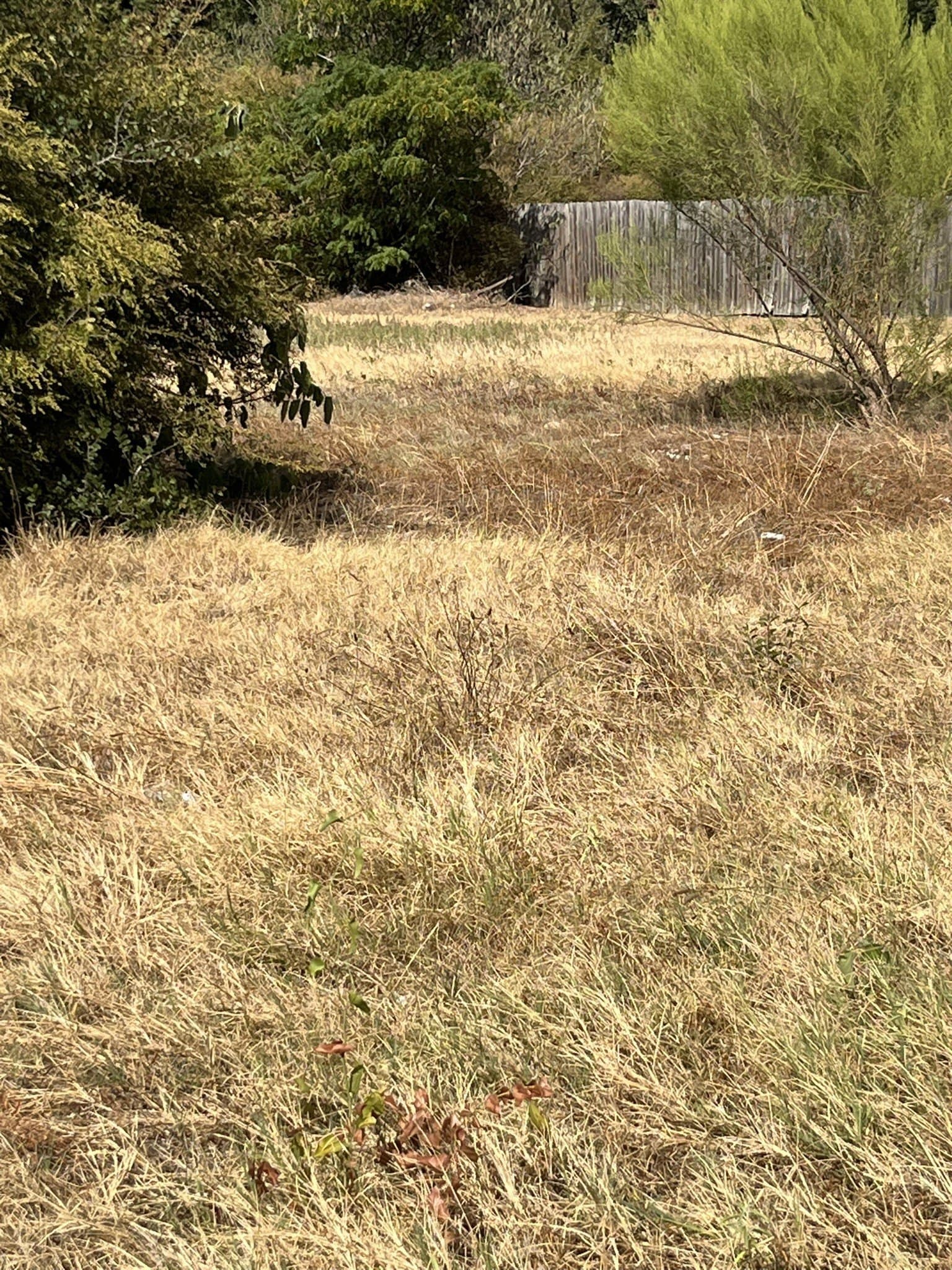 0.17 acres in Tarrant County - photo 3