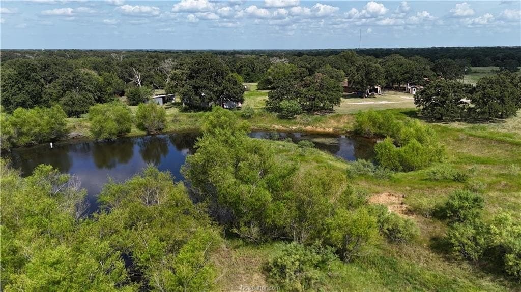 13 acres in Robertson County - photo 14