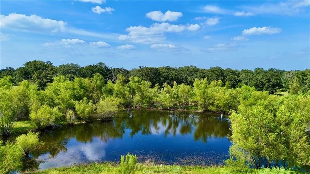 13 acres in Robertson County - photo 2