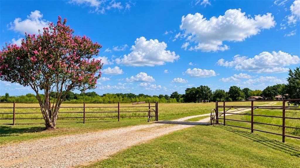 13 acres in Robertson County - photo 3