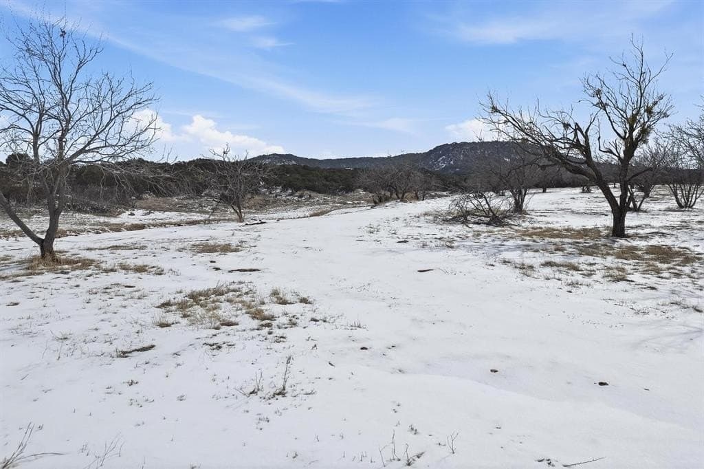 69.41 acres in Taylor County gallery image 3